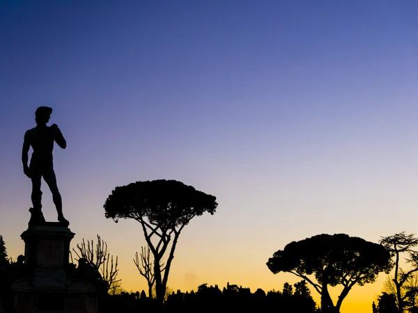 Silhouet van michelangelo's david, florence, Italië — Stockfoto