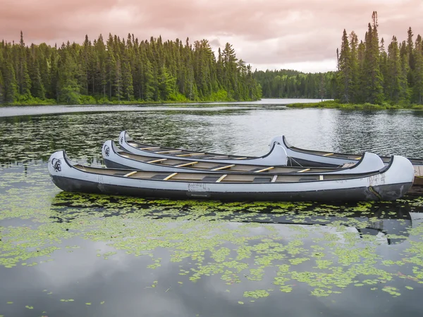 Canoe galleggianti su un lago tranquillo, Quebec, Canada — Foto Stock