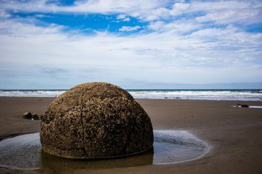Moeraki Boulders Sahili, güzel bir bahar günü.