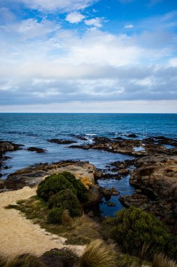 Shag Point Gözcüsü güzel bir bahar gününde