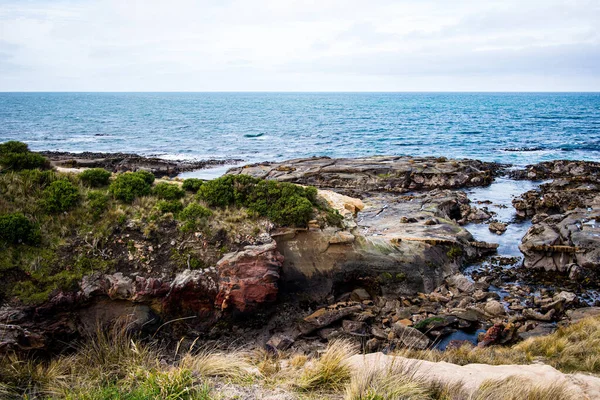 Shag Point Lookout em um belo dia de primavera — Fotografia de Stock