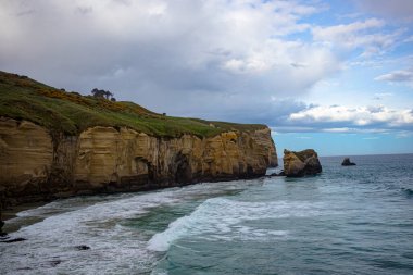 Dunedin 'in dışında, dalgalı bir günde