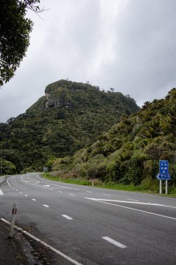 Punakaiki Köyü 'nden geçen yol... Batı Yakası, Yeni Zelanda...