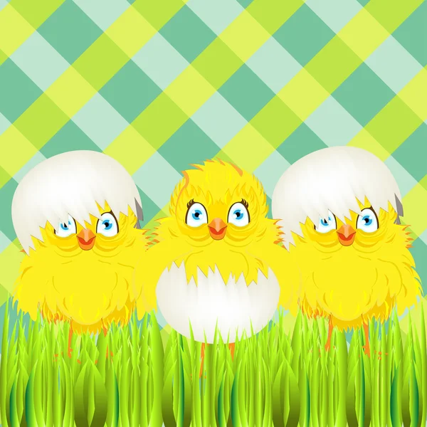 Tres pollos lindos — Vector de stock