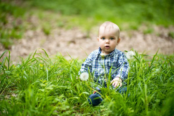 Ребенок в траве с белыми одуванчиками — стоковое фото