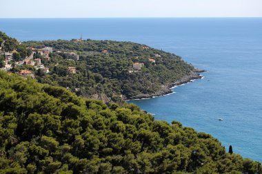 Güzel yeşil Yarımadası 