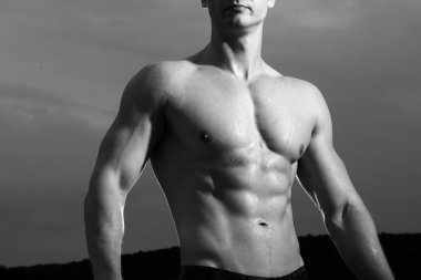 Çıplak erkek gövde 