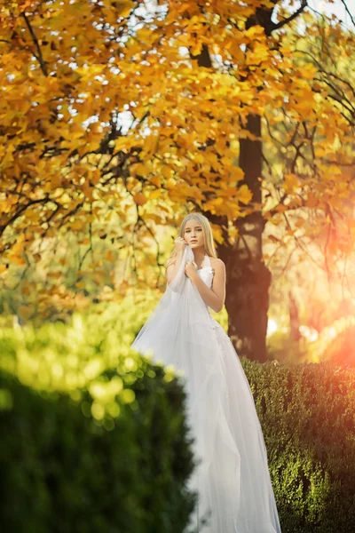 Krásná podzimní nevěsta — Stock fotografie