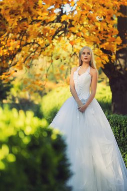 Güzel sonbahar gelin