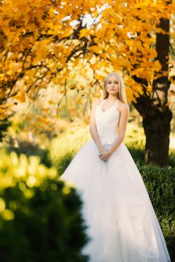 Güzel sonbahar gelin