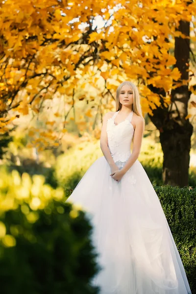 Güzel sonbahar gelin