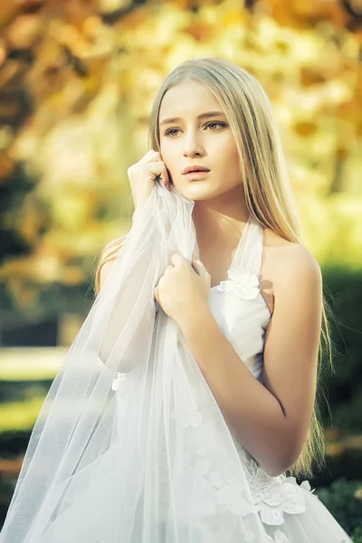 Hermosa novia de otoño —  Fotos de Stock