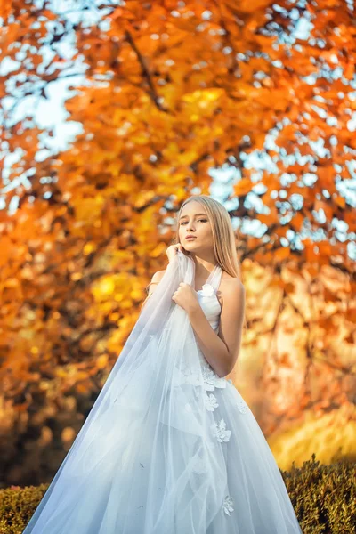 Bela noiva outono — Fotografia de Stock