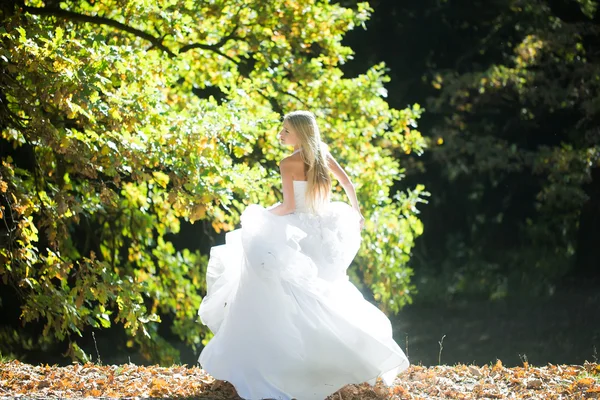 Bride in beautiful dress outdoor — Stock Photo, Image