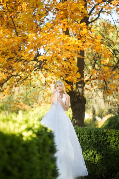 Bella sposa autunnale — Foto Stock