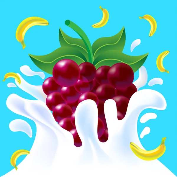 Banane et framboise au yaourt — Image vectorielle