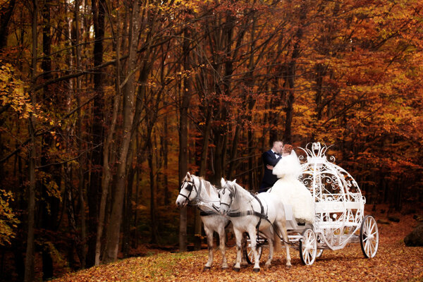 Wedding couple in carriage