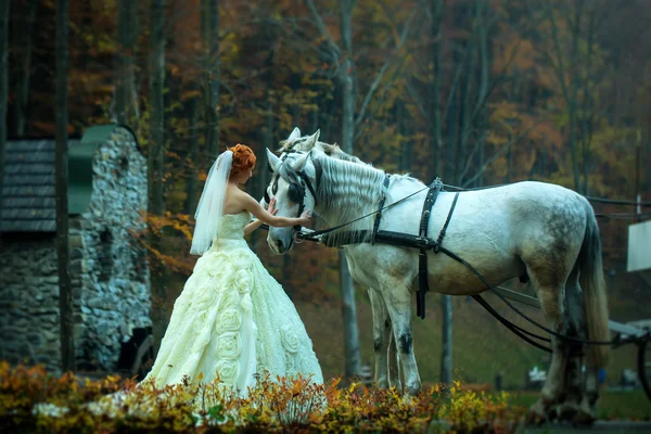 Bride and horses in forest — Stock Photo, Image