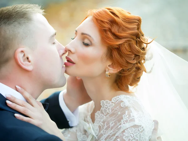 接吻的婚礼夫妇 — 图库照片