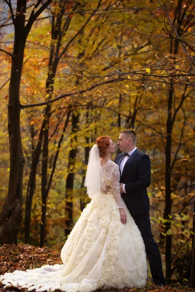 Couple de mariage en forêt — Photo