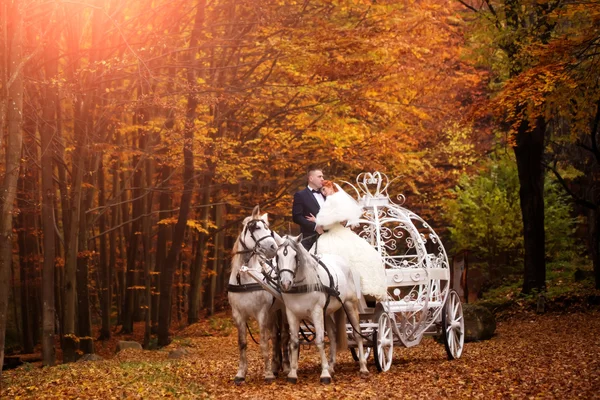 Couple de mariage en calèche — Photo