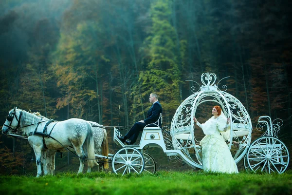 Hochzeitspaar in Kutsche — Stockfoto