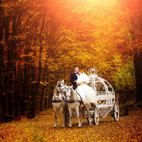 Wedding couple in carriage