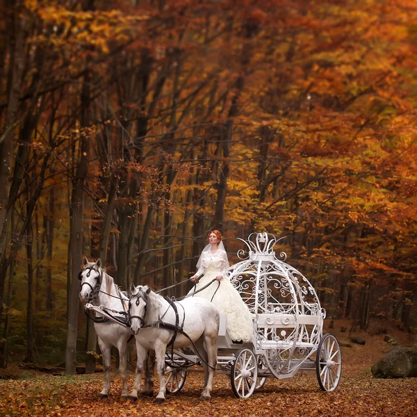 Couple de mariage en calèche — Photo