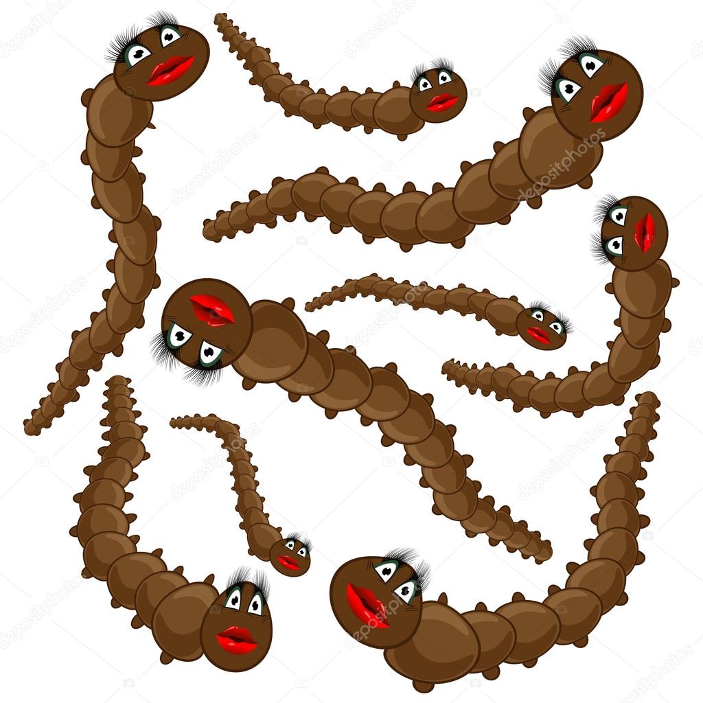 Funny brown worms