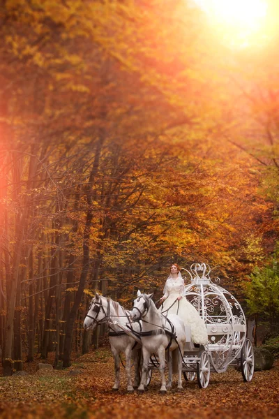 Wedding couple in carriage