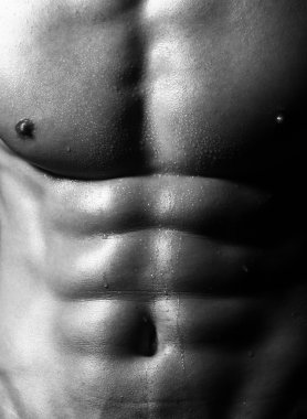 Mükemmel secsual erkek six-pack kas 