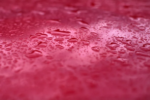 Rain drops on red background — Stock Photo, Image