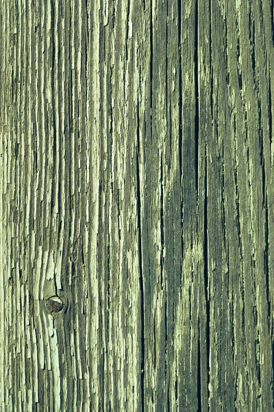 Placa de madeira verde com nó — Fotografia de Stock