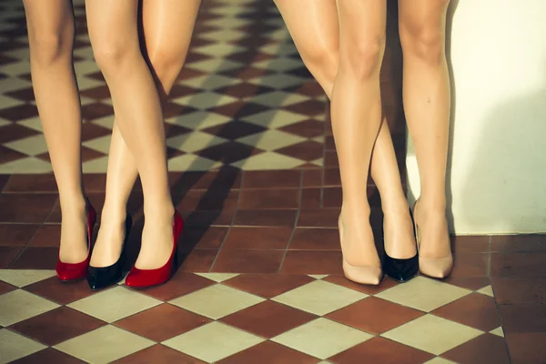 Female legs in shoes — Stock Photo, Image