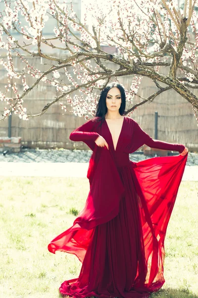 Ragazza vicino albero in fiore — Foto Stock