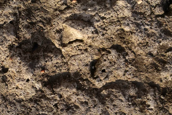 Песчано-трещиноватый каменный слой — стоковое фото
