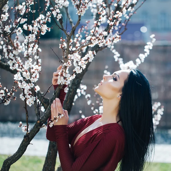 盛开的杏树的女人 — 图库照片