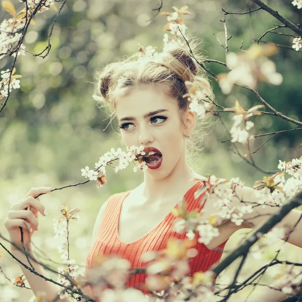Pretty girl in blossom — Stock Photo, Image