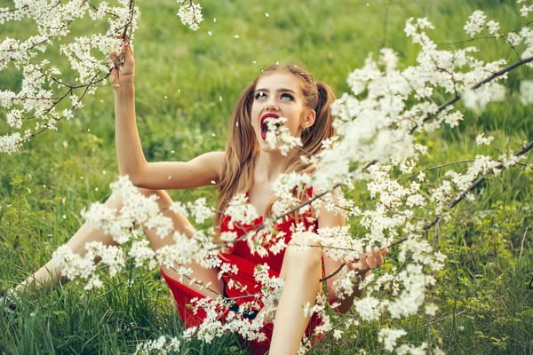 Söt flicka i blossom — Stockfoto