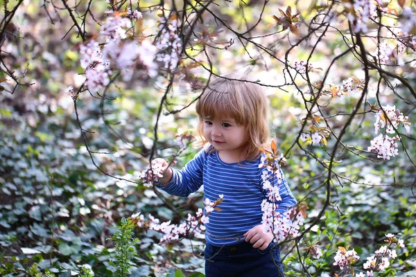 Маленький хлопчик з цвітінням — стокове фото