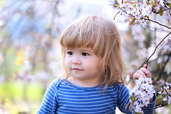 Little boy with blossom — Stock Photo, Image