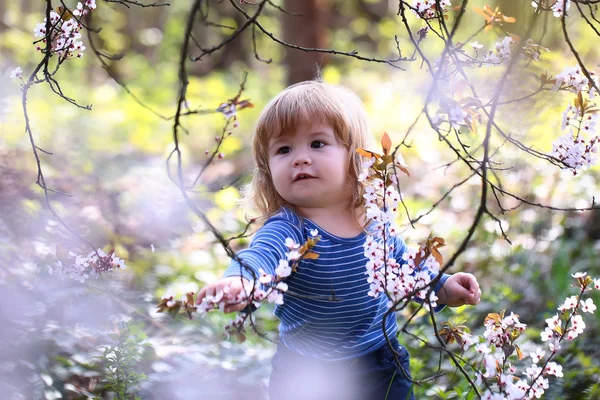 Malý chlapec s květy — Stock fotografie