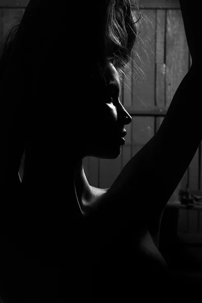 어둠 속에서 우아한 여자 프로필 — 스톡 사진