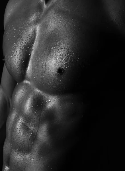 Torso muscolare maschile — Foto Stock