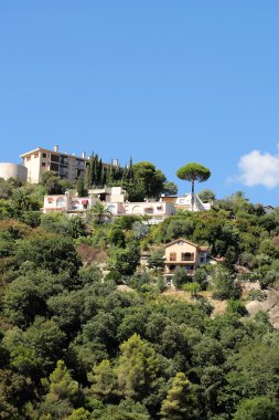 Konut yeşil ağaçlar arasında 