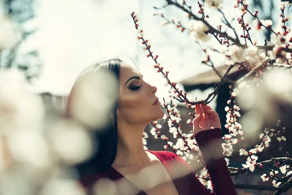 Женщина с цветущим абрикосом — стоковое фото