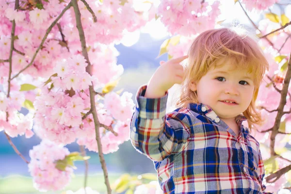 Menino pequeno em flor — Fotografia de Stock