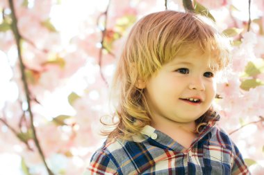 Küçük çocuk çiçeği