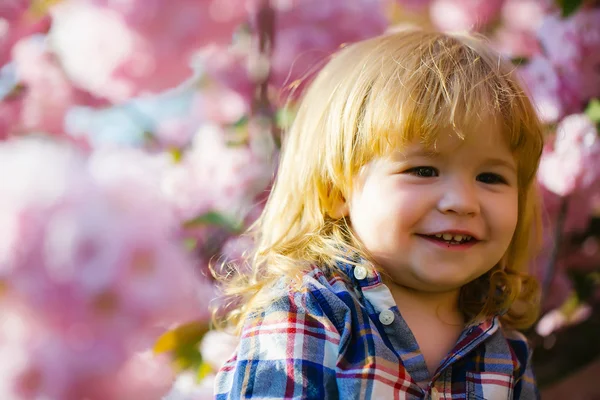 Garoto sorridente em flor — Fotografia de Stock