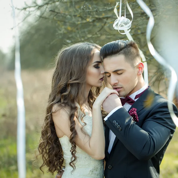 Boda pareja y cintas en el árbol — Foto de Stock